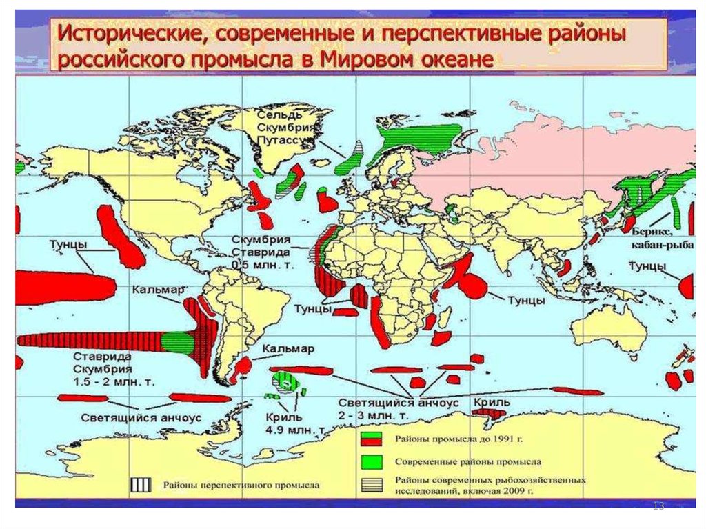 Жизнь в океане основные районы рыболовства. Промысловые районы мирового океана карта. Районы промысла рыбы. Районы мирового рыболовства. Районы рыбного промысла в мире.